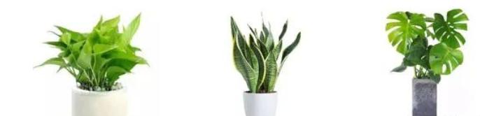 装修除甲醛最有效的方法,除甲醛最有效方法央视报道