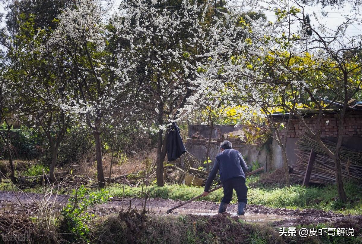花季少女被埋尸,花季少女死后被埋家中