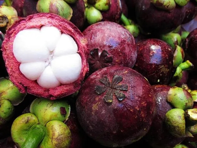 不会挑山竹记住这几点一挑一个准,挑选山竹小技巧新鲜又饱满