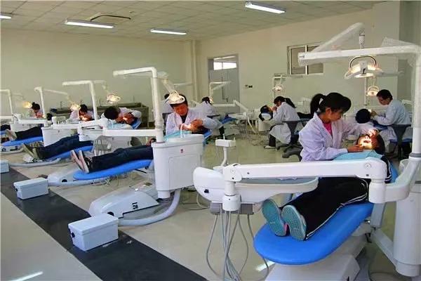 护士都可以报考哪些岗位,护士报考职位是什么意思