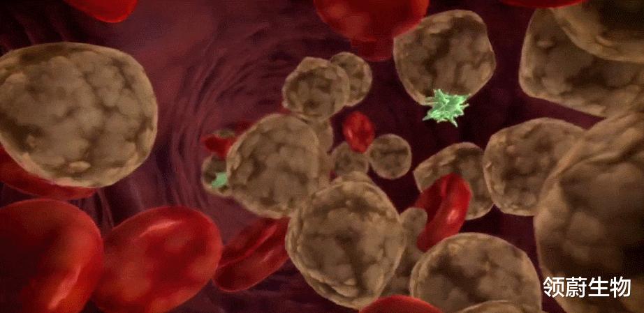 car-t细胞疗法是针对所有癌症吗,car-t细胞疗法十问