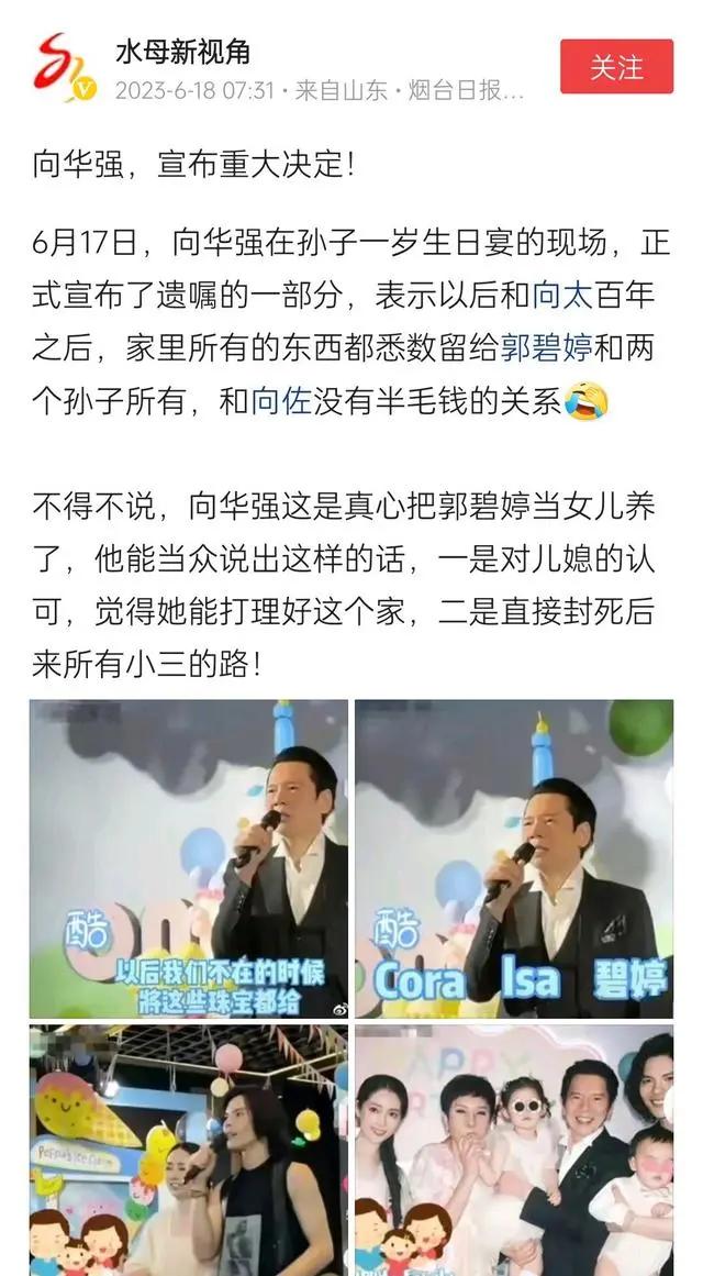 向佐跟郭碧婷的近况,向佐和郭碧婷现在什么关系