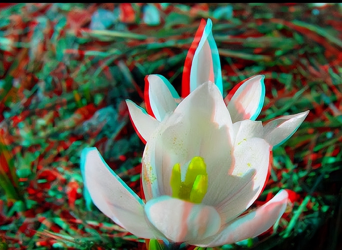 立体图片3d视觉效果,3d电影是什么视觉效果