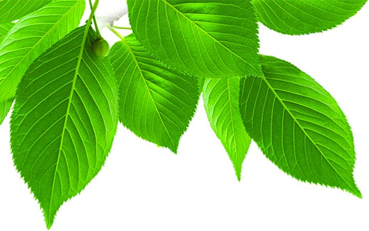 剖腹产切断了哪几条经络,剖腹产经脉切断还能恢复吗