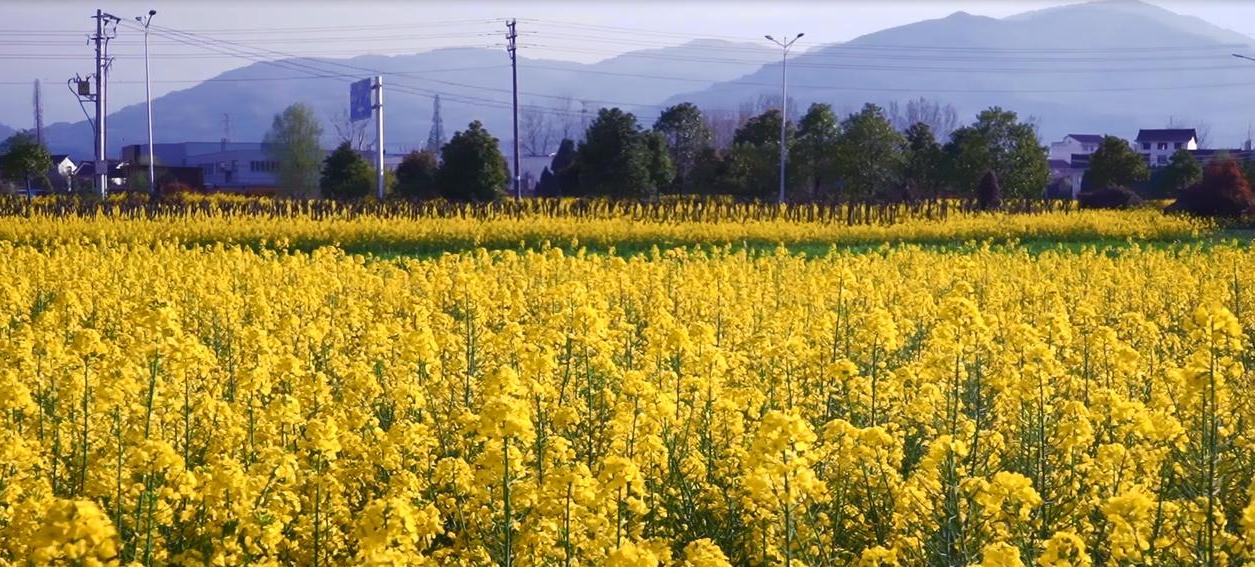 春天的陕西·汉中：一座秀美的山水城市