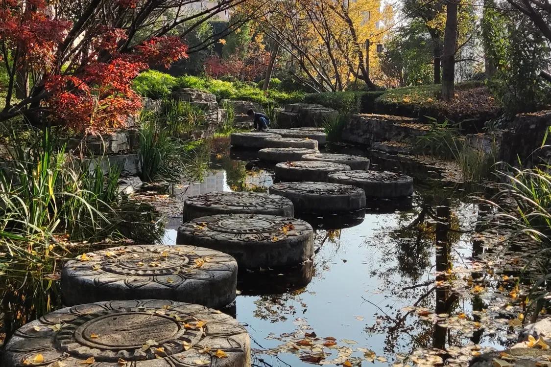 经典景观公园,美丽公园风景如画有流连忘返之感