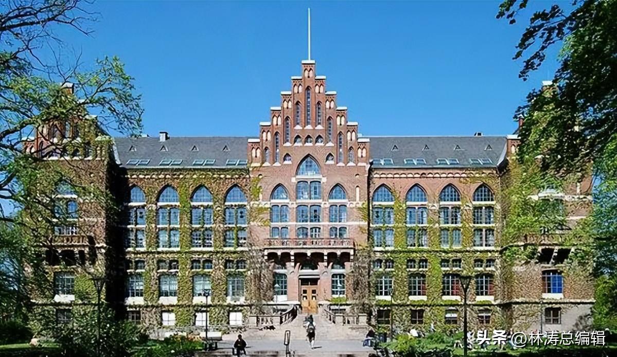 2020年护理大学生职业生涯规划书,大学生职业生涯规划书模板范文ppt