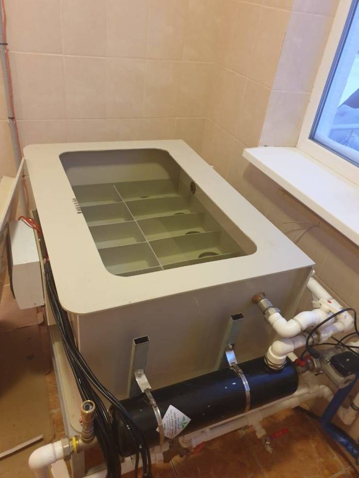 50件来自我们迷人星球的不寻常事物