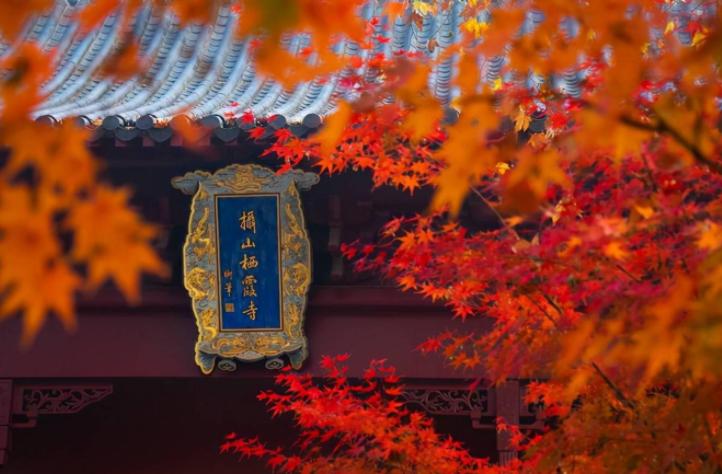 南京夫子庙都有哪些景点好玩的,夫子庙周边免费景点有哪些景区