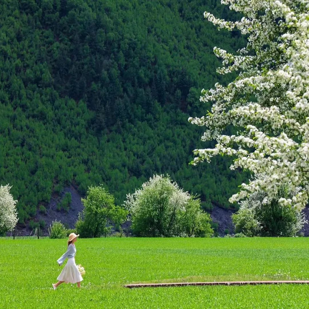 风景素材治愈系哪里找,高级感风景治愈系图片