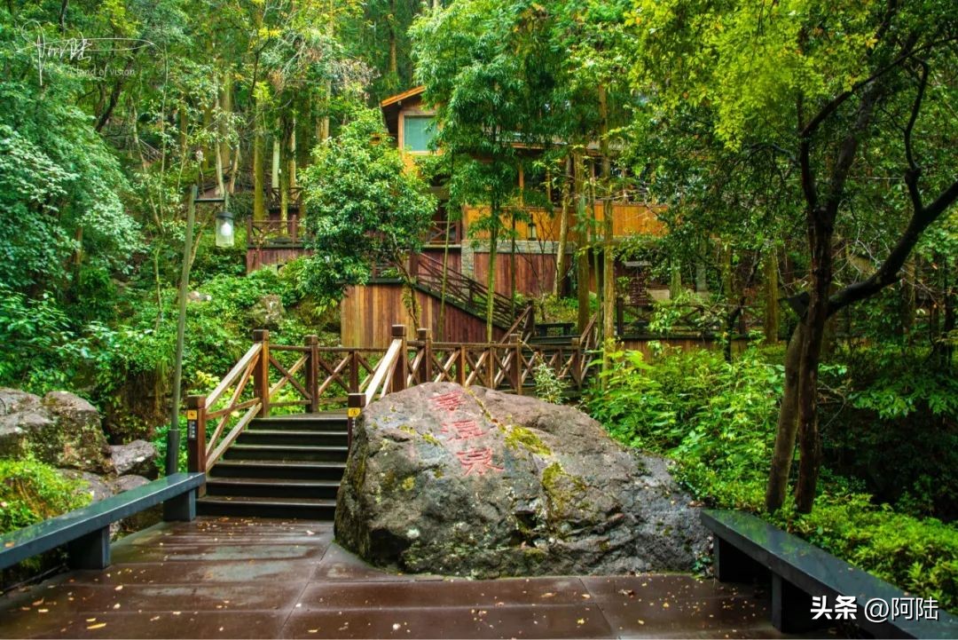 宁海天明山森林温泉小木屋,宁海最好的温泉度假区