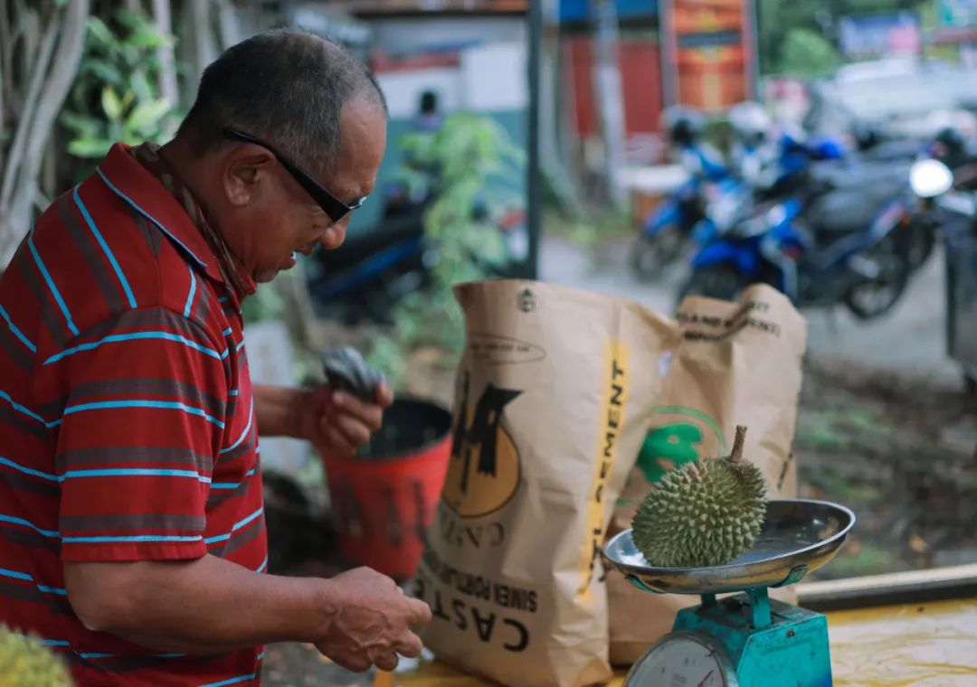 新加坡到马来西亚乐高大巴,从新加坡怎么去马来西亚乐高乐园