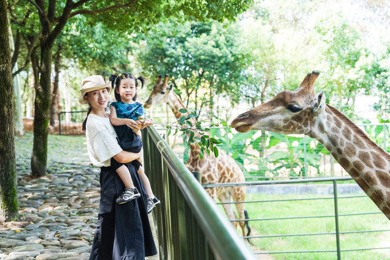安吉中南百草园二天一夜攻略,安吉中南百草原刺激游乐项目
