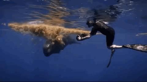 豆瓣排名第五摄人心魄的好片,豆瓣8.6分今年看过最良心的电影