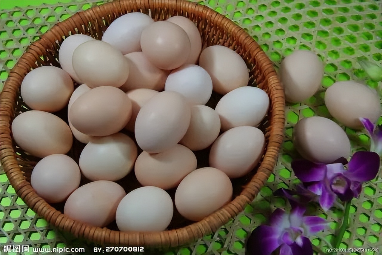 齐鲁禽蛋报价中心,齐鲁禽蛋报价中心今天价格