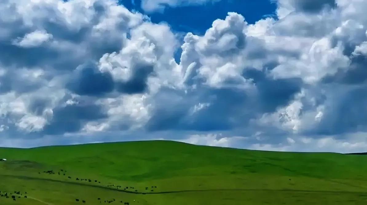 骞胯ⅳ钃濆ぉ鑷敱缈辩繑,灞曟湜鑷敱缈辩繑