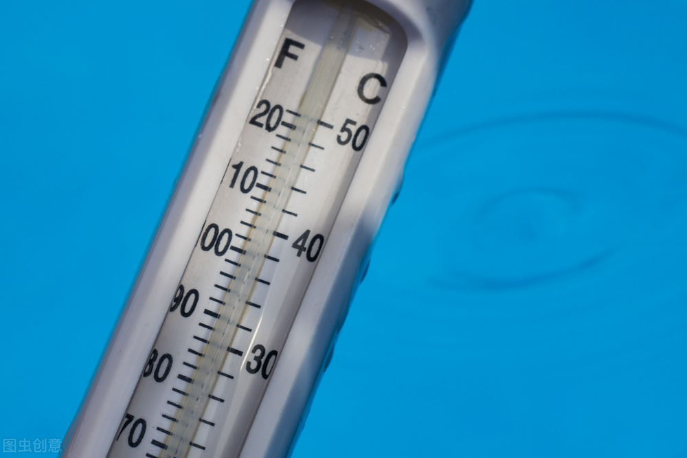 养花夺命水浇1盆死1盆你还在用吗,五种浇水浇死的植物