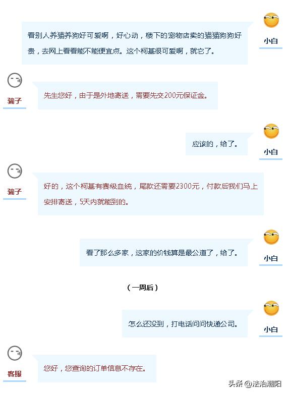 大街上免费领养狗是什么套路,中了免费领养猫咪是什么套路