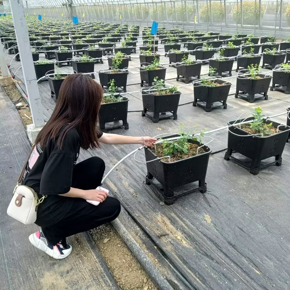 实践出真知事实胜于雄辩,实践出真知高山听流水