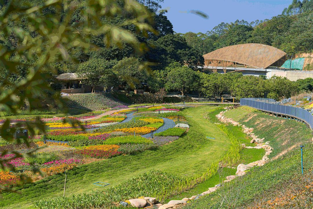 广州周边徒步露营景点推荐,五一广州周边野炊露营旅游攻略