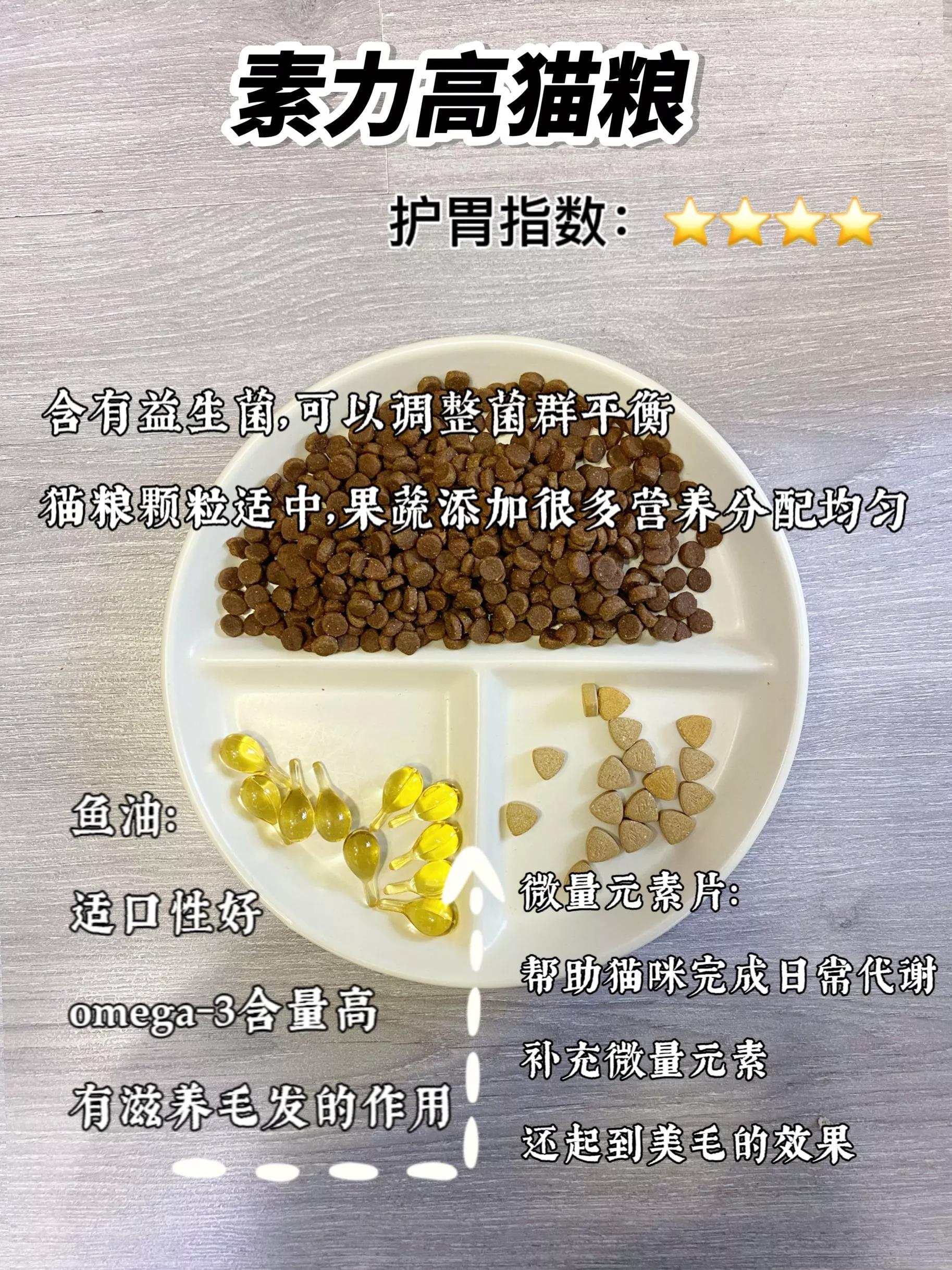 月均花费200低成本养猫攻略,月收入2000养猫