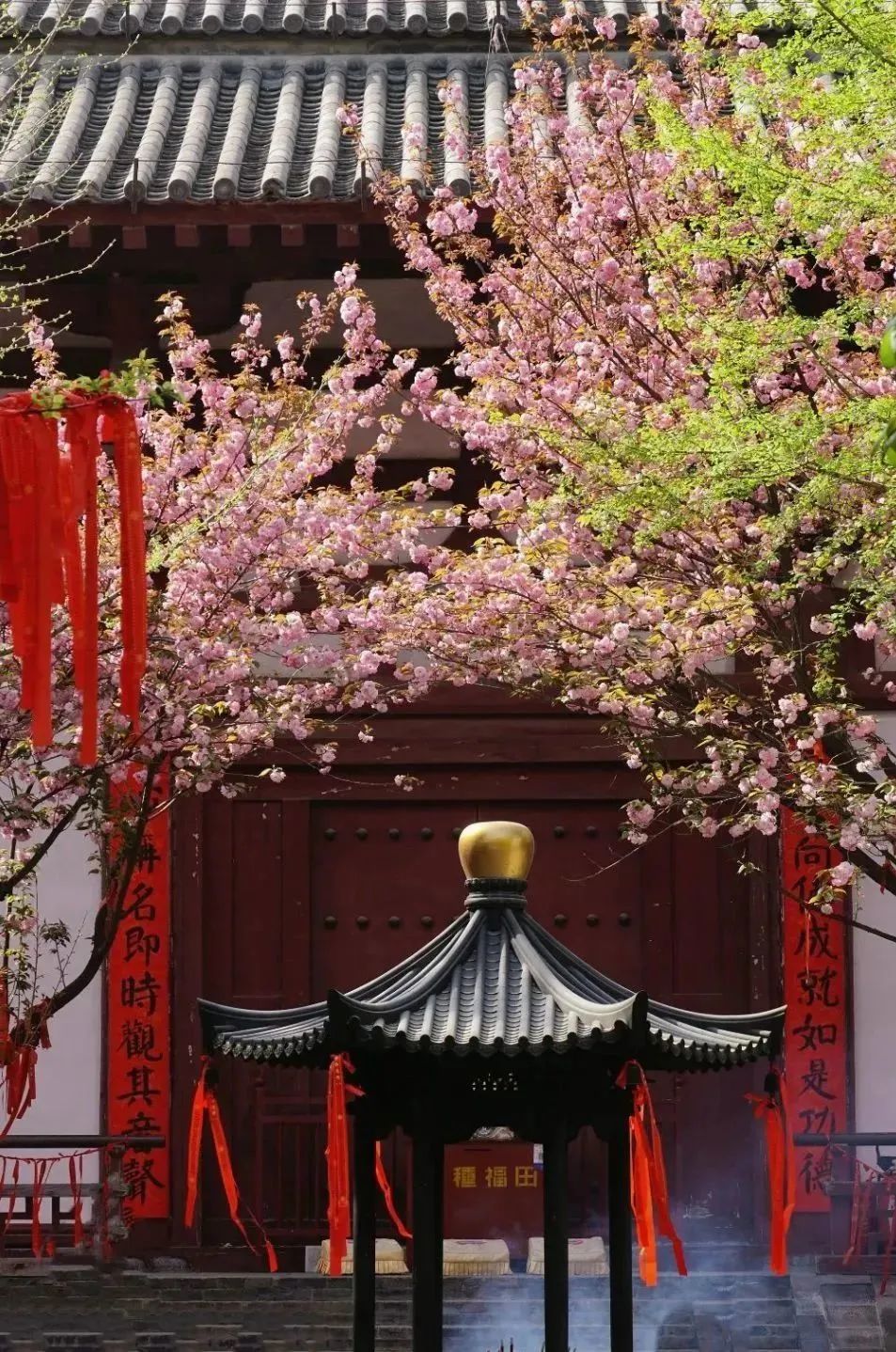 日本100个最佳樱花景点,日本十大樱花景点