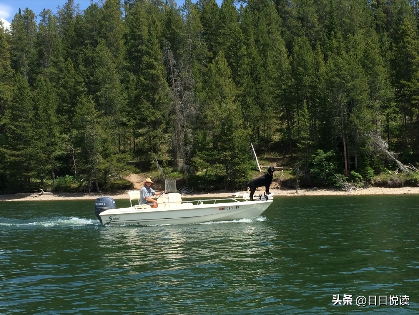 美国黄石国家公园经典风景图片,美国黄石国家公园在地图怎么找