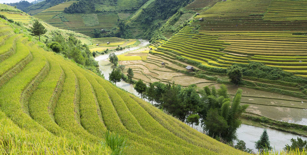全球第一大农业出口国,全球十大出口国