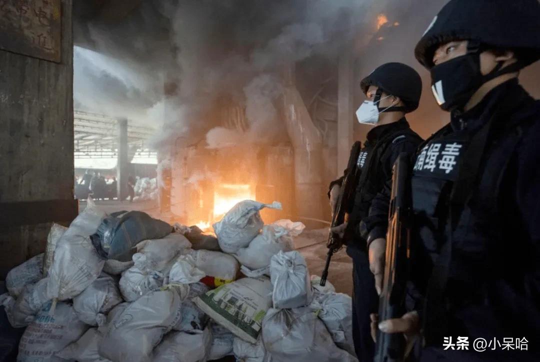 我心中近20年来，最好看的7部缉毒剧，最高评分8.4，无人超越