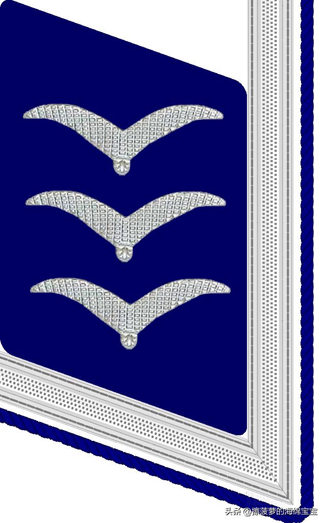 二战德国国防军医疗兵军衔标志