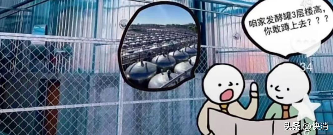 黄豆酱的谣言,黄豆酱谣言视频