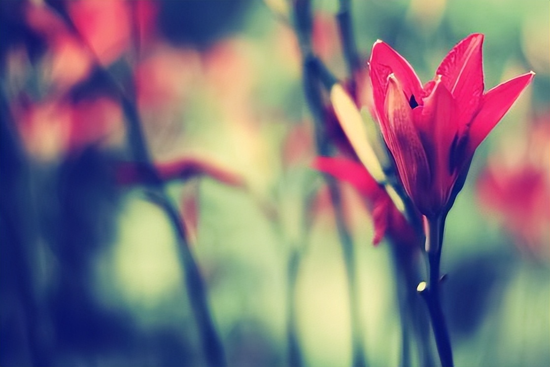 男人对你忽冷忽热不必怕,男人对你忽冷忽热如何高情商应对