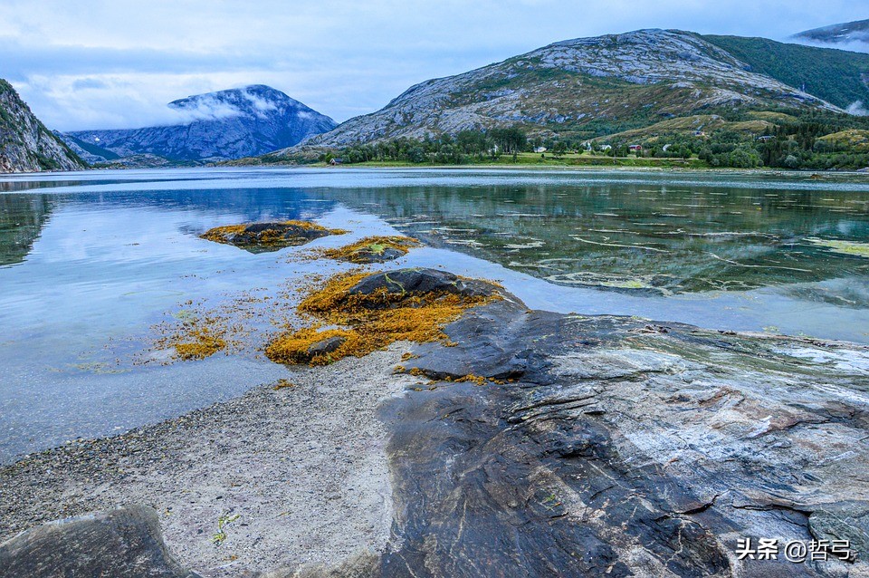 形式逻辑与理想逻辑的关系,形式逻辑就是科学逻辑吗