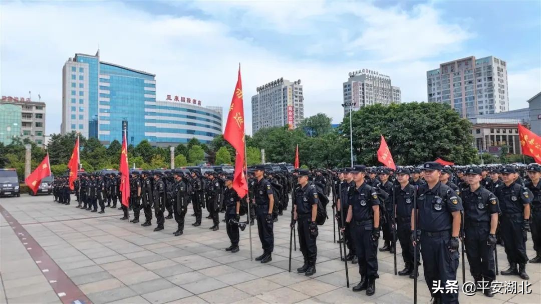 湖北公安发布百日行动阶段性战果,湖北公安百日行动