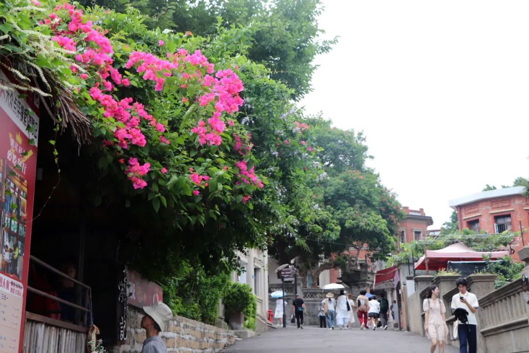 在鼓浪屿,在鼓浪屿是一种什么体验