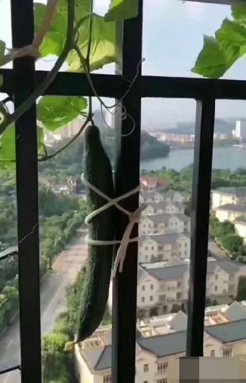 一家餐饮店,竟成了防洪抗台风先进单位