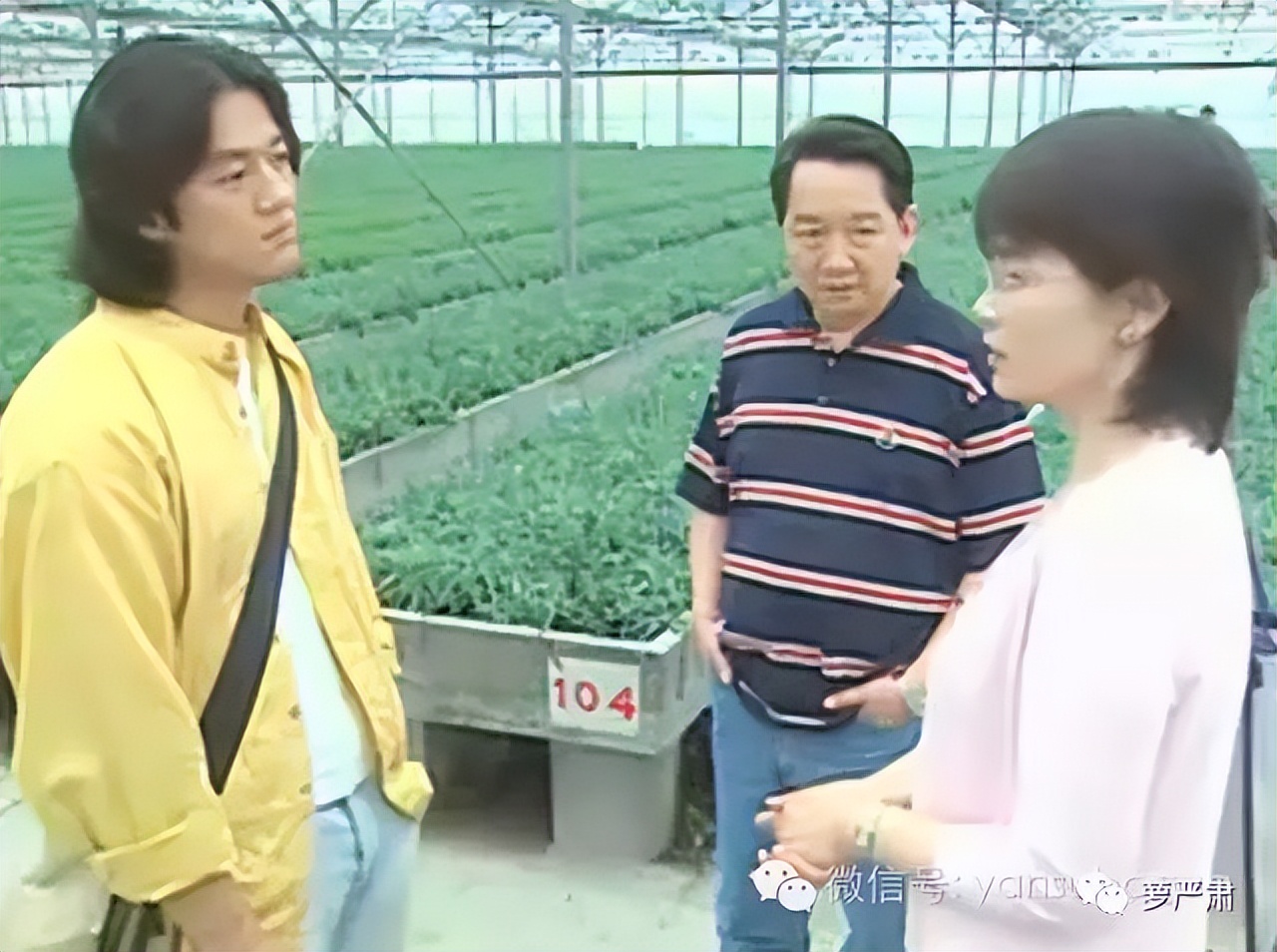 刘畊宏直播宣传邓紫棋启示录,刘畊宏顶流启示录