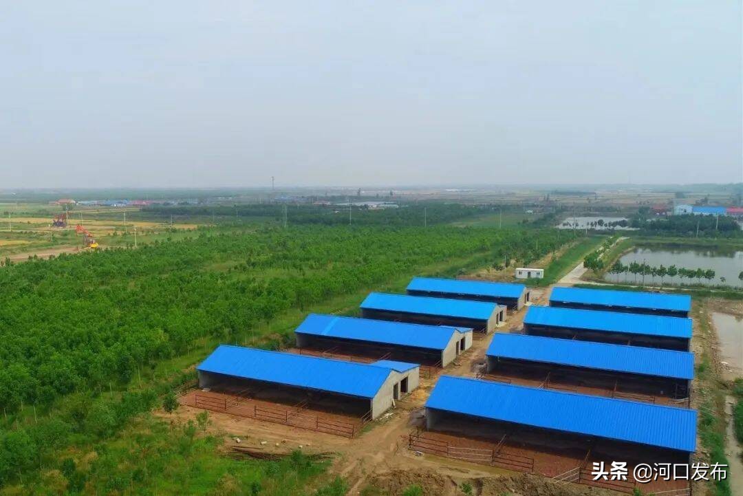 五星级党支部创建标准流程,如何创建支部过硬星支部