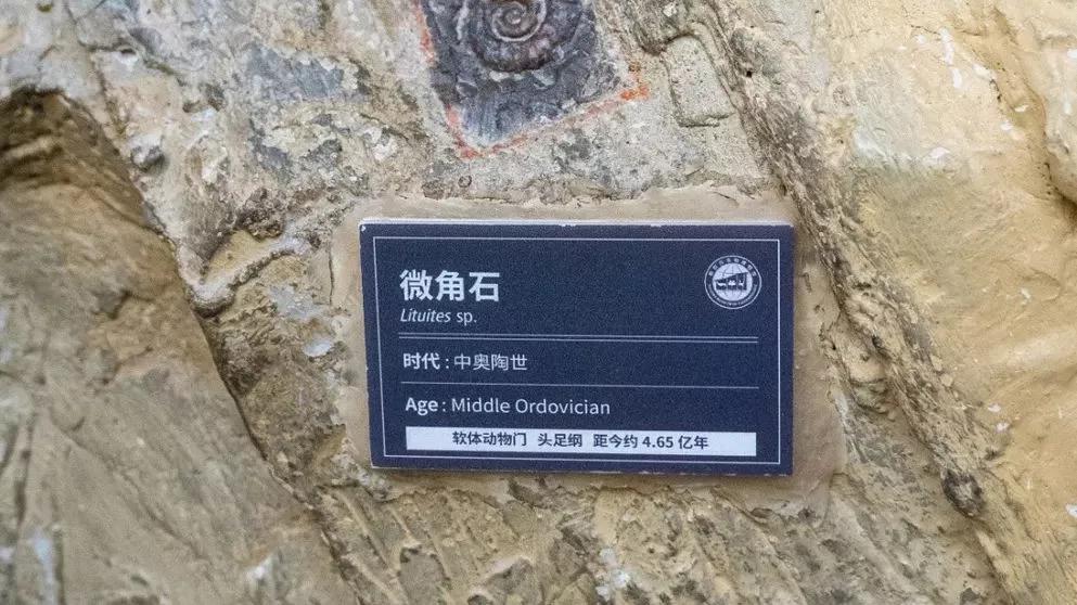 相约博物馆的感受,古生物博物馆南京