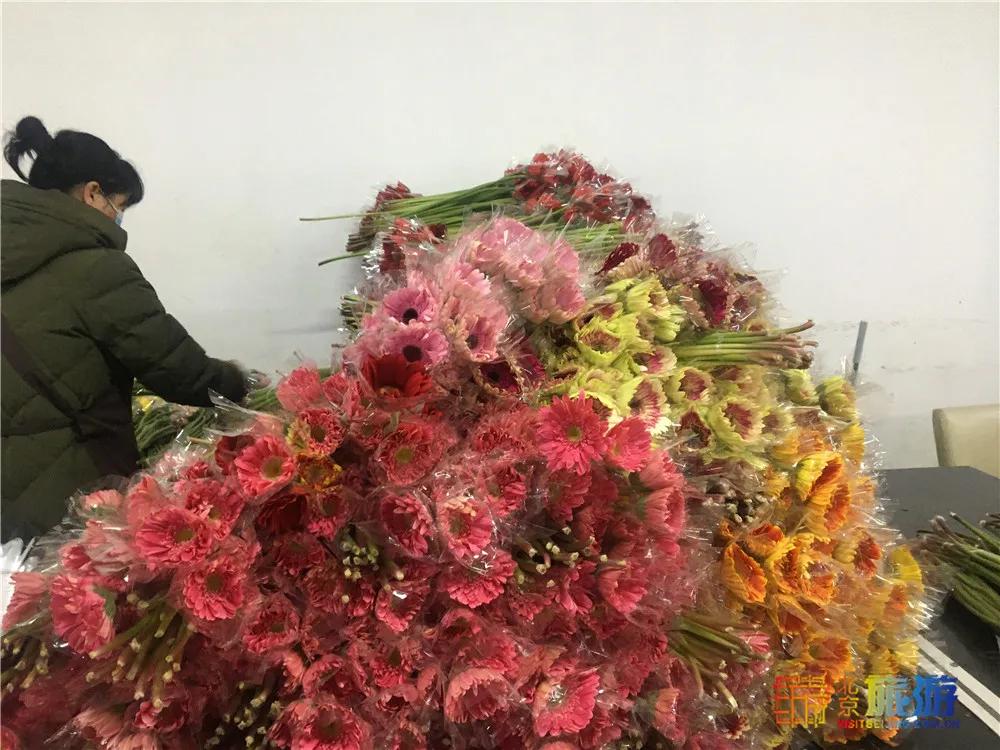 京南永清花卉批发市场,京南花卉批发市场