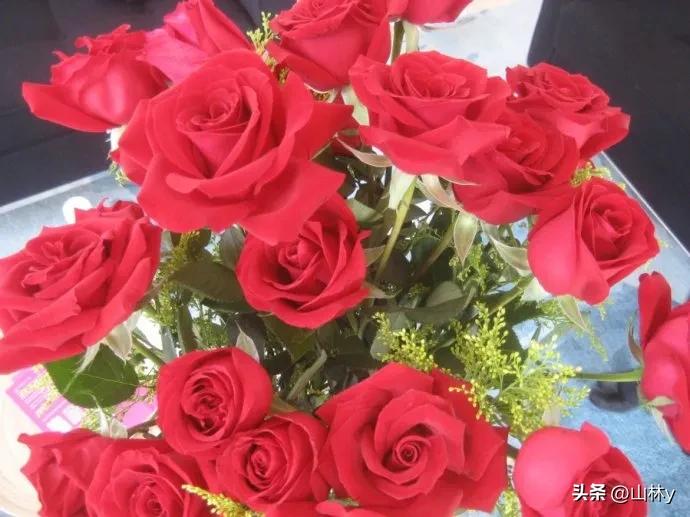 分享玫瑰花的图片,最美的玫瑰花送给最漂亮的你图片