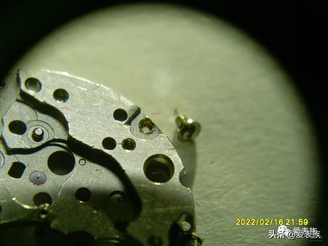 姊呰姳m905淇濆吇,姊呰姳2391鏈鸿姱