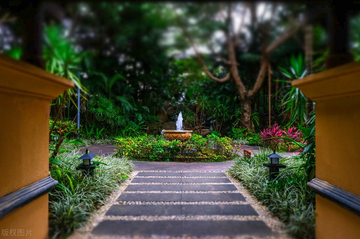 西双版纳避寒避暑的雨林仙境,西双版纳避寒度假