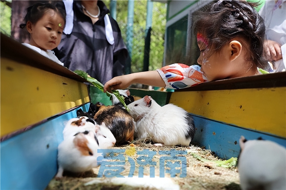 沉浸式畅游跑马岭亲子同乐欢度假日