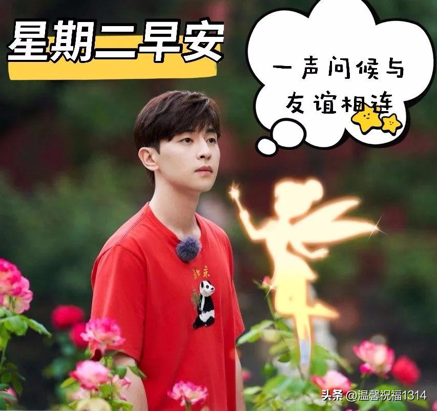 最新最美的早上好问候图片带字,早安问候图片2018年