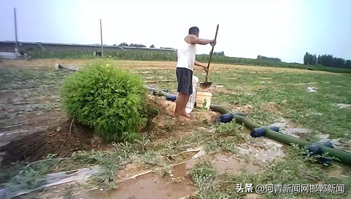 邯郸市丛台区水价,河北邯郸农村水费最新收费标准