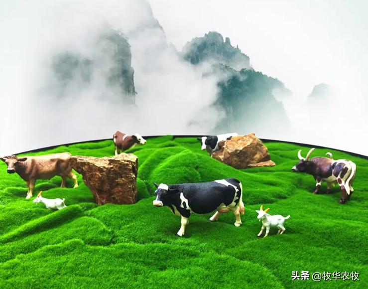 春季牛羊容易高发什么病,秋季牛羊病预防