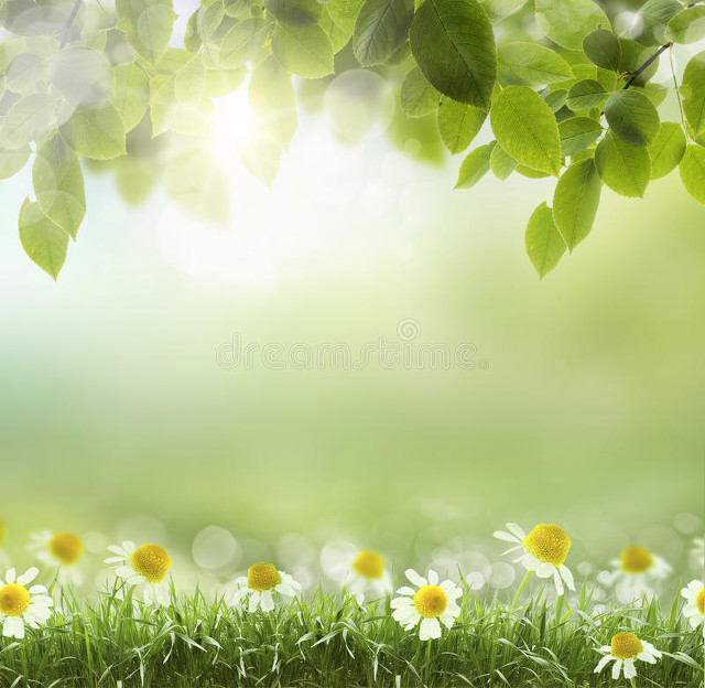 遥借清风览万里,唯有离骚驻世间。端午感怀