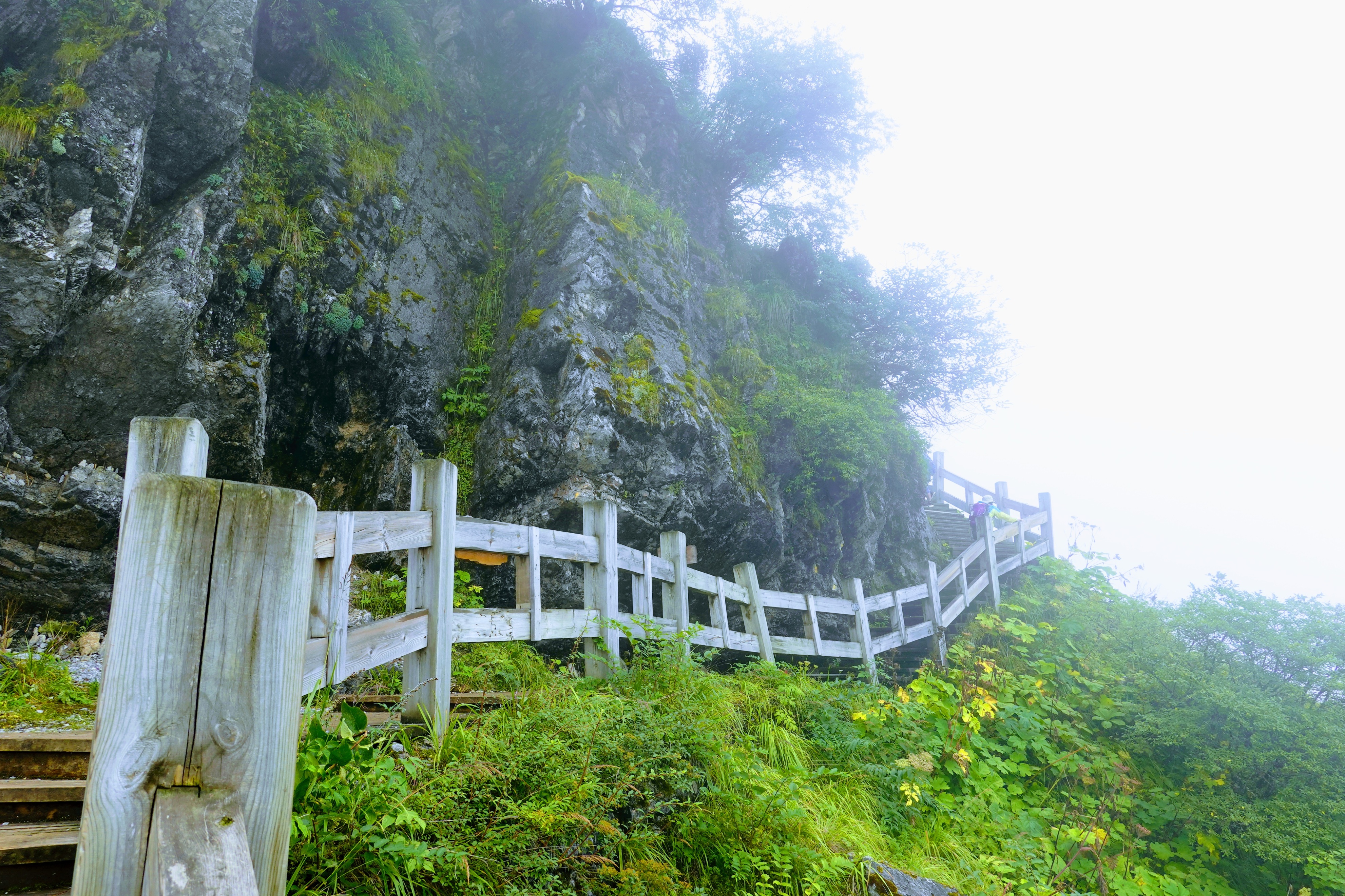 成都大邑徒步旅游攻略,大邑西岭雪山后山门票