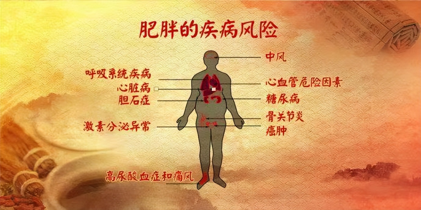 长肉最快的三种主食不是馒头米饭,长肉超快的四种主食